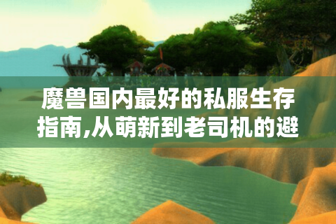 魔兽国内最好的私服生存指南,从萌新到老司机的避坑手册