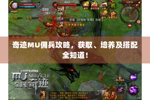 奇迹MU佣兵攻略，获取、培养及搭配全知道！