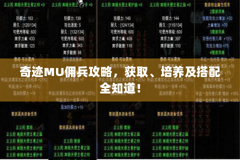 奇迹MU佣兵攻略，获取、培养及搭配全知道！