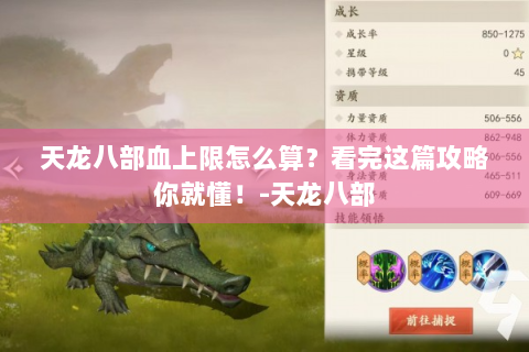 天龙八部血上限怎么算？看完这篇攻略你就懂！-天龙八部