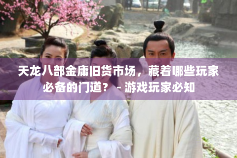 天龙八部金庸旧货市场，藏着哪些玩家必备的门道？ - 游戏玩家必知