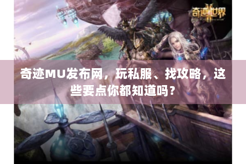奇迹MU发布网，玩私服、找攻略，这些要点你都知道吗？