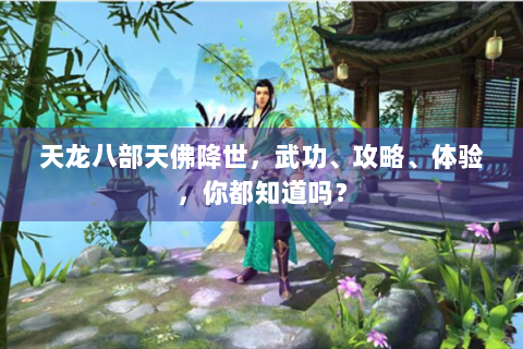 天龙八部天佛降世，武功、攻略、体验，你都知道吗？