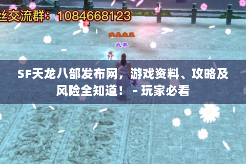 SF天龙八部发布网，游戏资料、攻略及风险全知道！ - 玩家必看