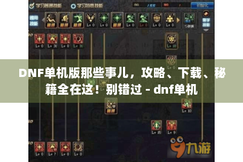 DNF单机版那些事儿，攻略、下载、秘籍全在这！别错过 - dnf单机