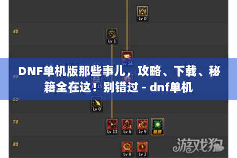 DNF单机版那些事儿，攻略、下载、秘籍全在这！别错过 - dnf单机