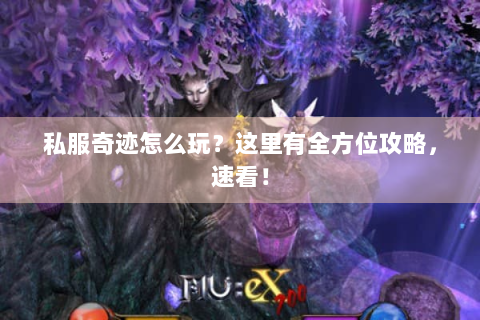 私服奇迹怎么玩？这里有全方位攻略，速看！