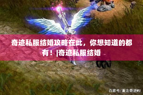 奇迹私服结婚攻略在此，你想知道的都有！|奇迹私服结婚