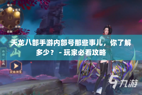 天龙八部手游内部号那些事儿，你了解多少？ - 玩家必看攻略