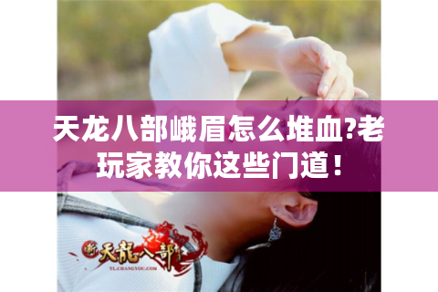 天龙八部峨眉怎么堆血?老玩家教你这些门道！
