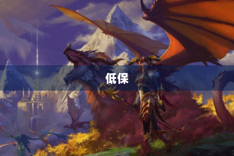 低保
