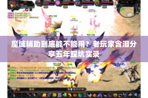 魔域辅助到底能不能用？老玩家含泪分享五年踩坑实录