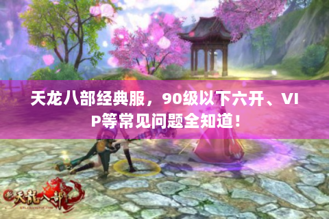 天龙八部经典服，90级以下六开、VIP等常见问题全知道！