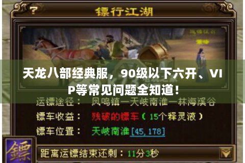 天龙八部经典服，90级以下六开、VIP等常见问题全知道！