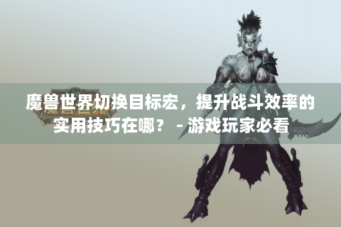 魔兽世界切换目标宏，提升战斗效率的实用技巧在哪？ - 游戏玩家必看