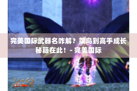 完美国际武器名咋解？菜鸟到高手成长秘籍在此！- 完美国际