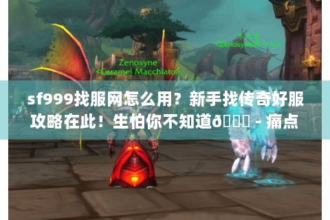 sf999找服网怎么用？新手找传奇好服攻略在此！生怕你不知道😜 - 痛点全解