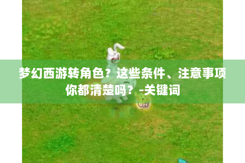 梦幻西游转角色？这些条件、注意事项你都清楚吗？-关键词