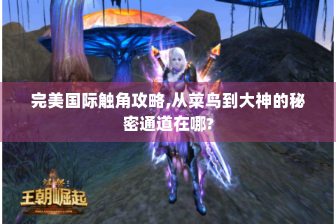 完美国际触角攻略,从菜鸟到大神的秘密通道在哪?