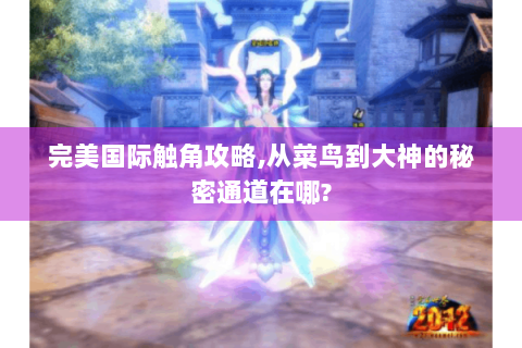 完美国际触角攻略,从菜鸟到大神的秘密通道在哪?