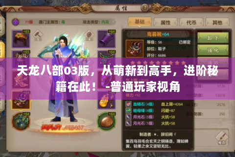 天龙八部03版，从萌新到高手，进阶秘籍在此！ -普通玩家视角