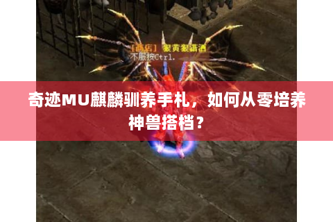 奇迹MU麒麟驯养手札，如何从零培养神兽搭档？