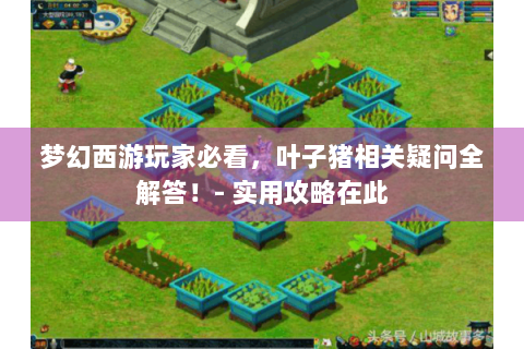 梦幻西游玩家必看，叶子猪相关疑问全解答！- 实用攻略在此