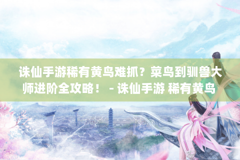 诛仙手游稀有黄鸟难抓？菜鸟到驯兽大师进阶全攻略！ - 诛仙手游 稀有黄鸟 捕捉全攻略 菜鸟 驯兽大师进阶指南