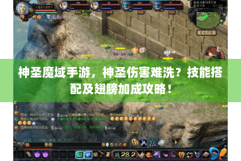 神圣魔域手游，神圣伤害难洗？技能搭配及翅膀加成攻略！