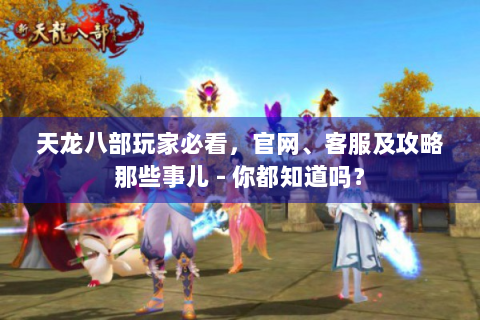 天龙八部玩家必看，官网、客服及攻略那些事儿 - 你都知道吗？