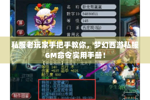 私服老玩家手把手教你，梦幻西游私服GM命令实用手册！