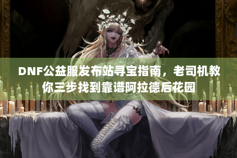 DNF公益服发布站寻宝指南，老司机教你三步找到靠谱阿拉德后花园