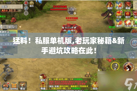 猛料！私服单机版,老玩家秘籍&新手避坑攻略在此！