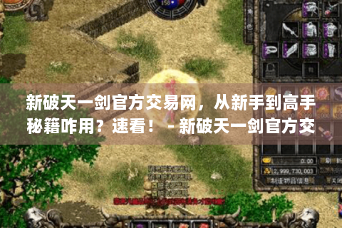 新破天一剑官方交易网，从新手到高手秘籍咋用？速看！ - 新破天一剑官方交易网