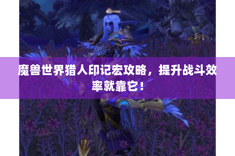 魔兽世界猎人印记宏攻略，提升战斗效率就靠它！