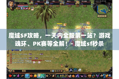 魔域SF攻略，一天内全服第一站？游戏魂环、PK赛等全解！- 魔域sf秒杀