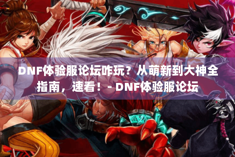 DNF体验服论坛咋玩？从萌新到大神全指南，速看！- DNF体验服论坛