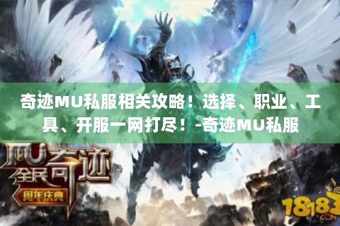 奇迹MU私服相关攻略！选择、职业、工具、开服一网打尽！-奇迹MU私服