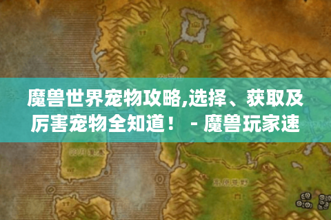 魔兽世界宠物攻略,选择、获取及厉害宠物全知道！ - 魔兽玩家速看