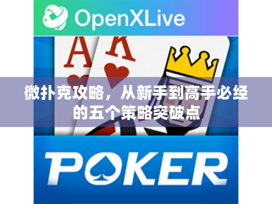 微扑克攻略，从新手到高手必经的五个策略突破点