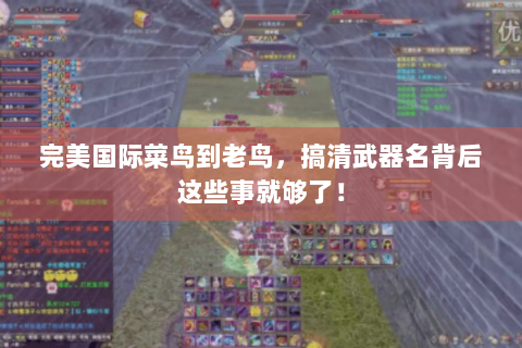 完美国际菜鸟到老鸟，搞清武器名背后这些事就够了！