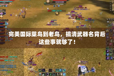 完美国际菜鸟到老鸟，搞清武器名背后这些事就够了！