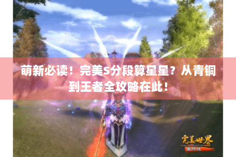 萌新必读！完美S分段算星星？从青铜到王者全攻略在此！