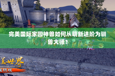 完美国际家园神兽如何从萌新进阶为驯兽大师？