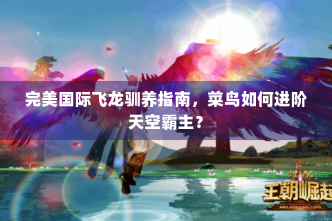 完美国际飞龙驯养指南，菜鸟如何进阶天空霸主？