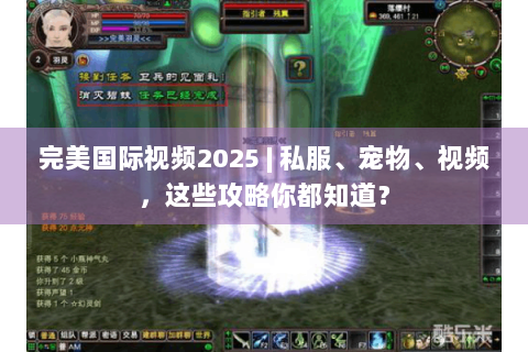 完美国际视频2025 | 私服、宠物、视频，这些攻略你都知道？