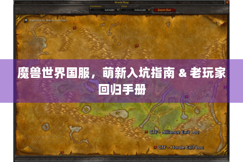 魔兽世界国服，萌新入坑指南 & 老玩家回归手册