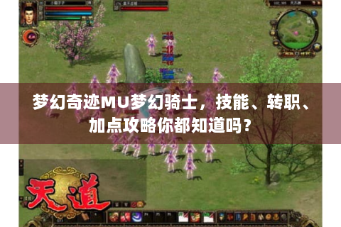梦幻奇迹MU梦幻骑士，技能、转职、加点攻略你都知道吗？