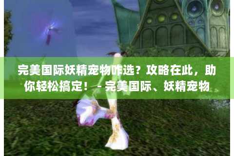 完美国际妖精宠物咋选？攻略在此，助你轻松搞定！ - 完美国际、妖精宠物