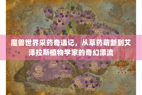 魔兽世界采药奇遇记，从草药萌新到艾泽拉斯植物学家的奇幻漂流
